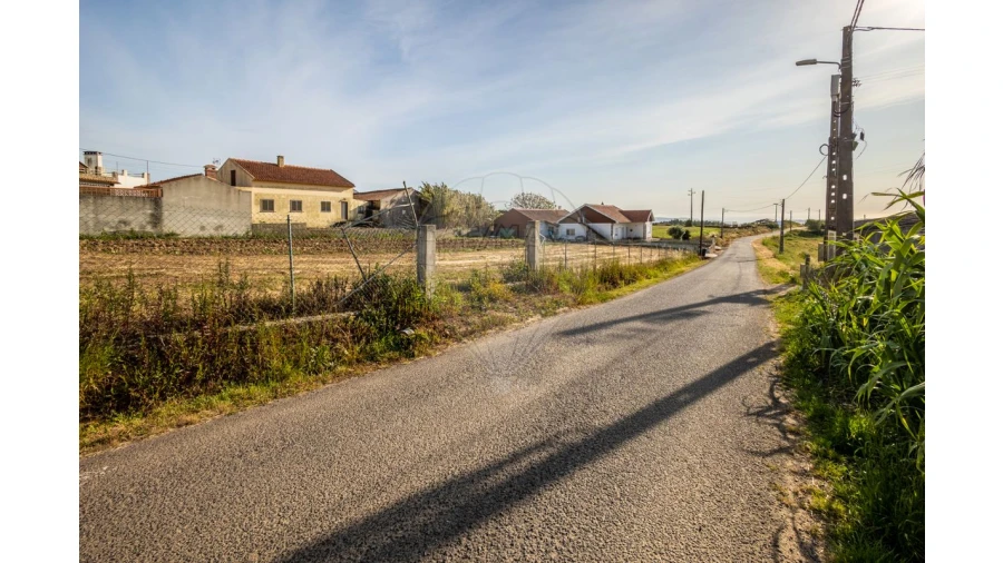 Terreno para Venda em Famalicão Foto 2