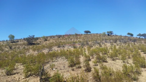 Terreno Agricola ou Rústico para Venda em Alcoutim e Pereiro
