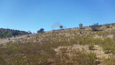 Terreno Agricola ou Rústico para Venda em Alcoutim e Pereiro