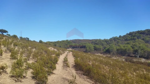 Terreno Agricola ou Rústico para Venda em Alcoutim e Pereiro