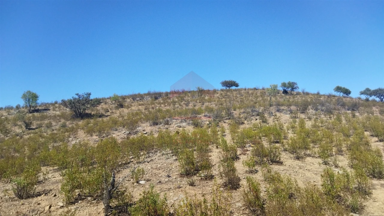 Terreno Agricola ou Rústico para Venda em Alcoutim e Pereiro Foto 2