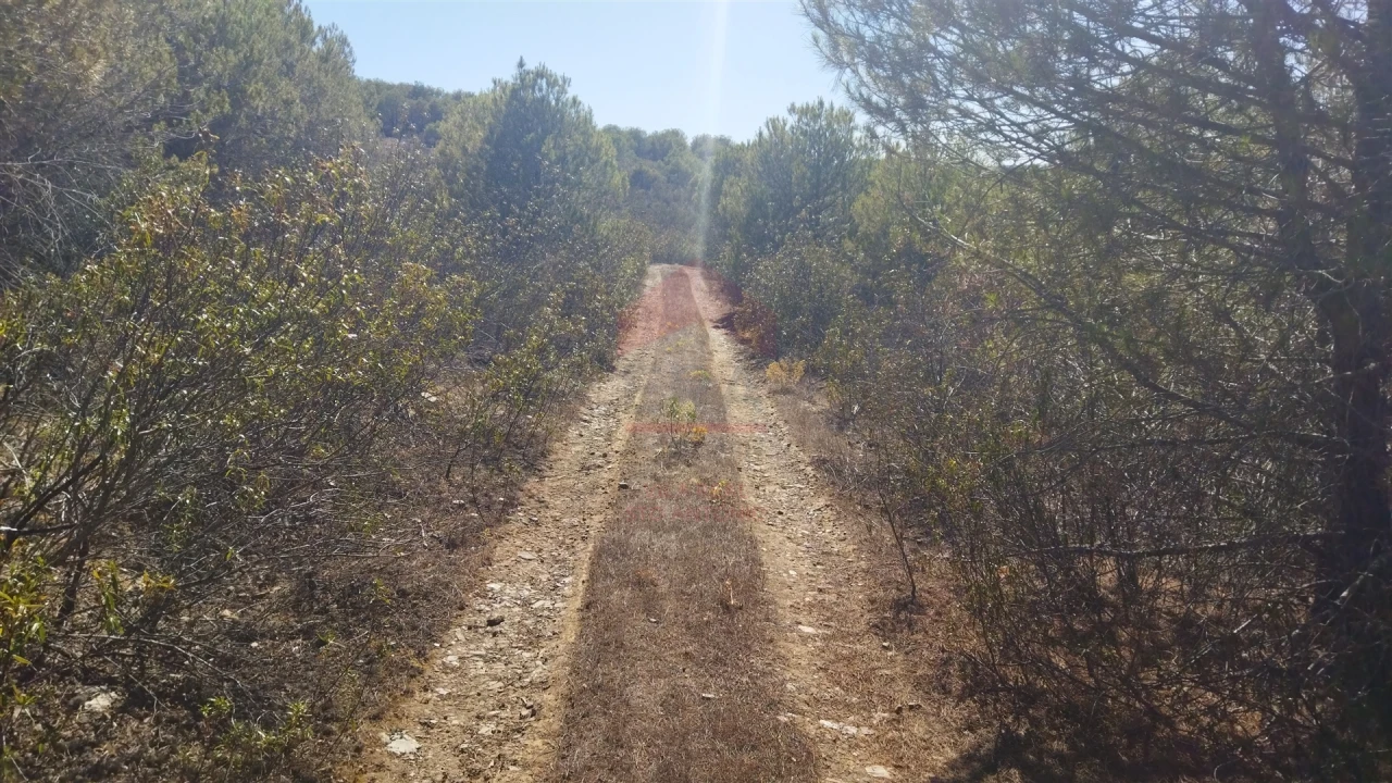 Terreno Agricola ou Rústico para Venda em Alcoutim e Pereiro Foto 5