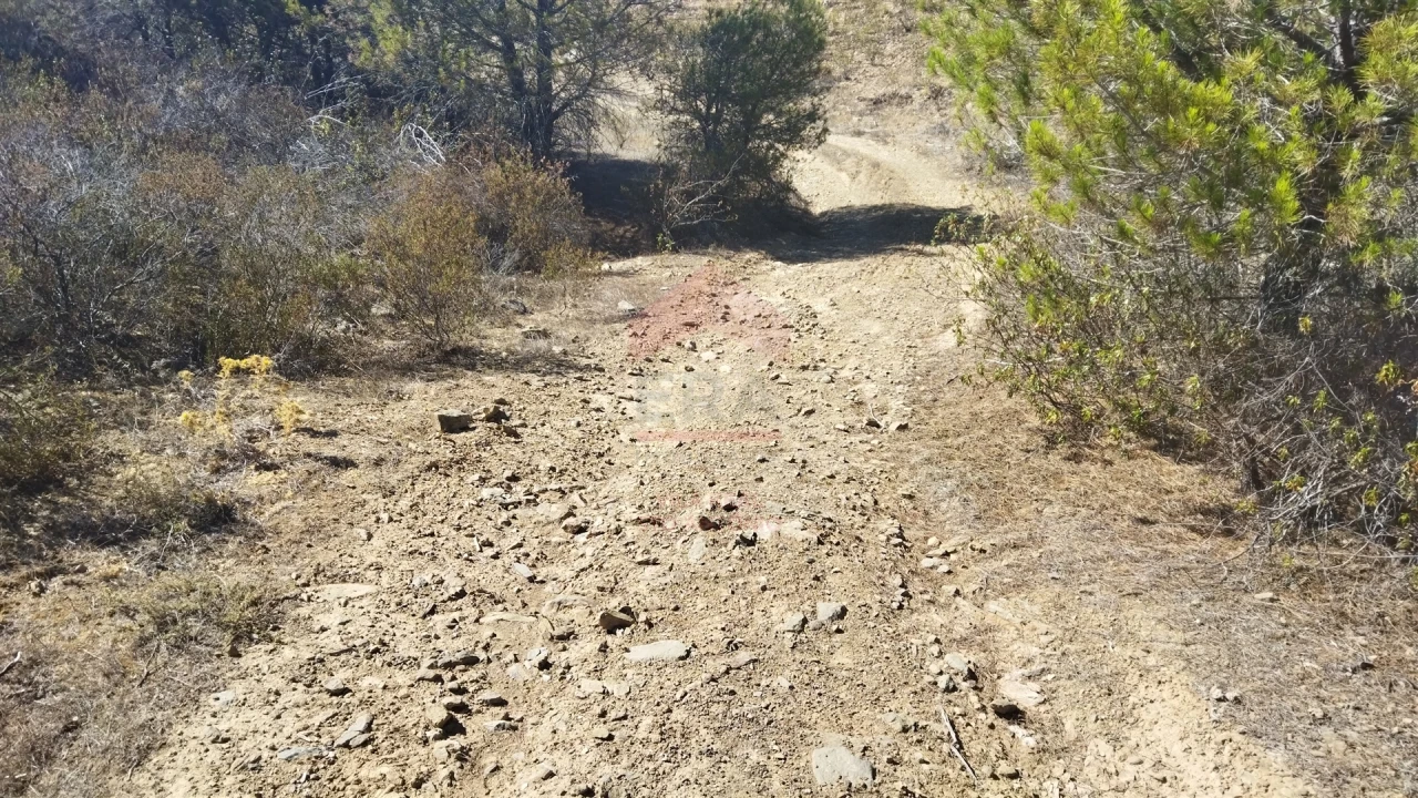 Terreno Agricola ou Rústico para Venda em Alcoutim e Pereiro Foto 8