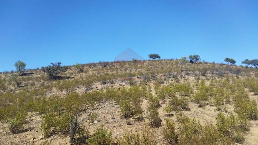 Terreno Agricola ou Rústico para Venda em Alcoutim e Pereiro Foto 2