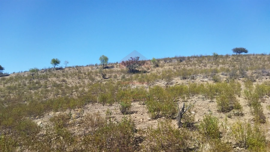 Terreno Agricola ou Rústico para Venda em Alcoutim e Pereiro Foto 6