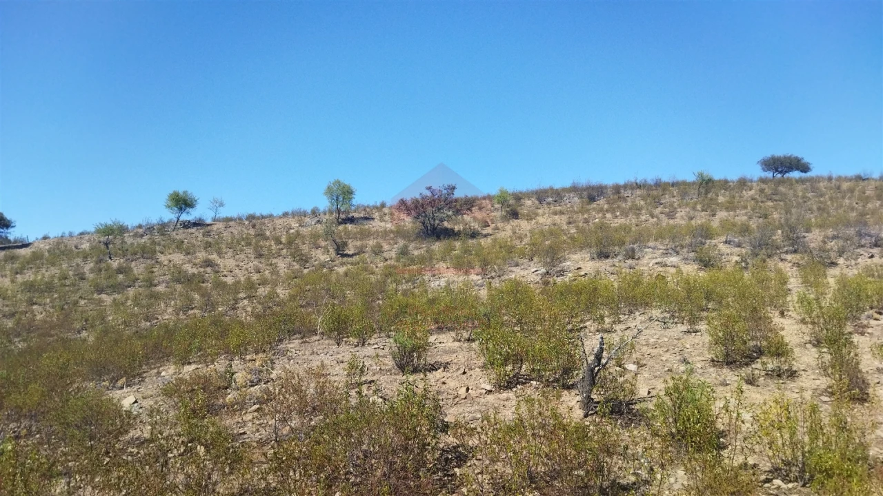 Terreno Agricola ou Rústico para Venda em Alcoutim e Pereiro Foto 6