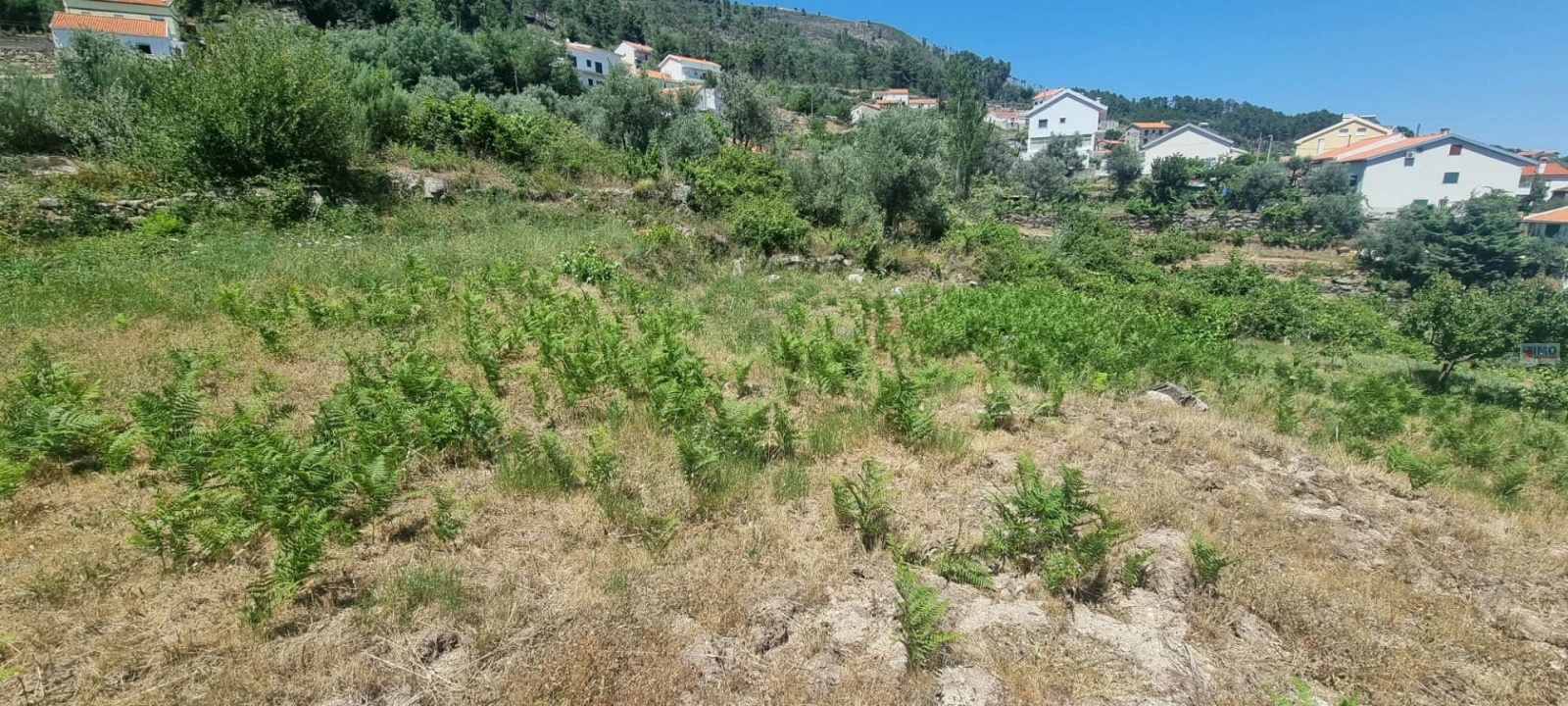 Terreno para Venda em Cantar-Galo e Vila do Carvalho Foto 5