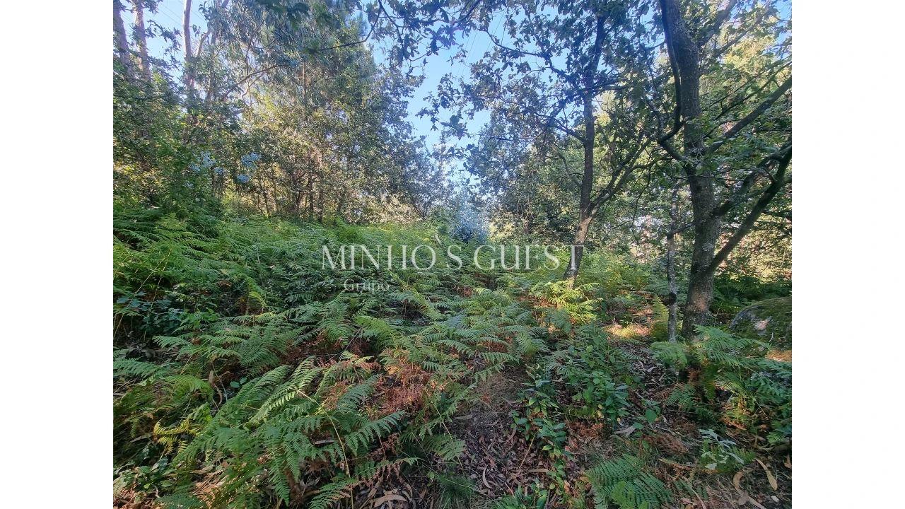 Terreno para Venda em Pedome Foto 11