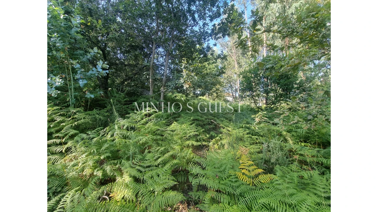 Terreno para Venda em Pedome Foto 12