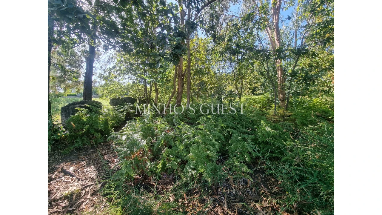 Terreno para Venda em Pedome Foto 10