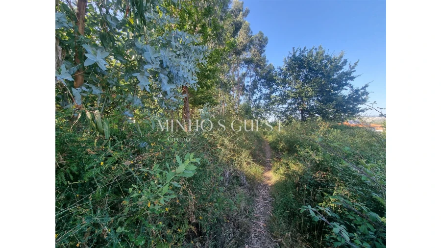 Terreno para Venda em Pedome Foto 3