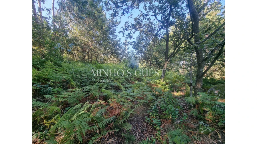 Terreno para Venda em Pedome Foto 11