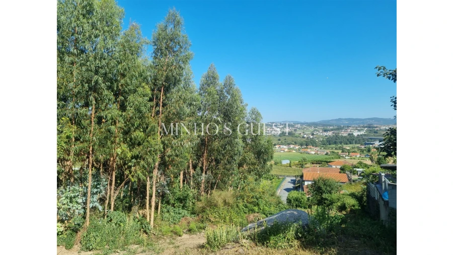 Terreno para Venda em Pedome Foto 4