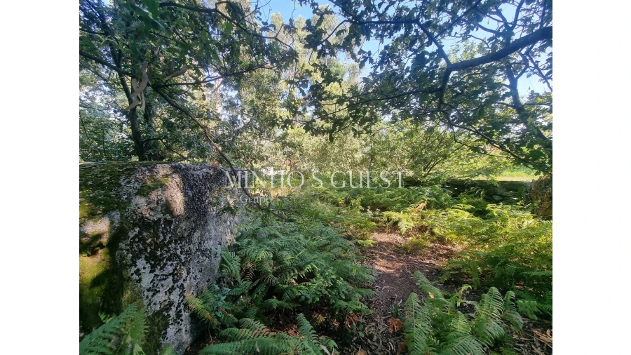 Terreno para Venda em Pedome Foto 5