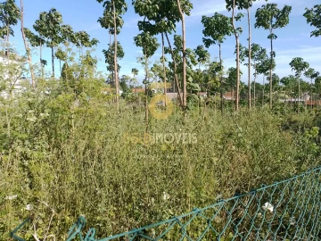 Terreno para Venda em Argoncilhe