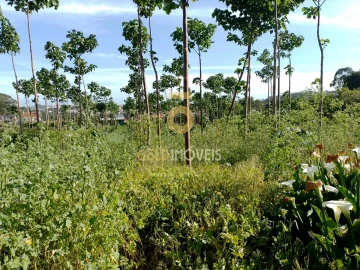 Terreno para Venda em Argoncilhe