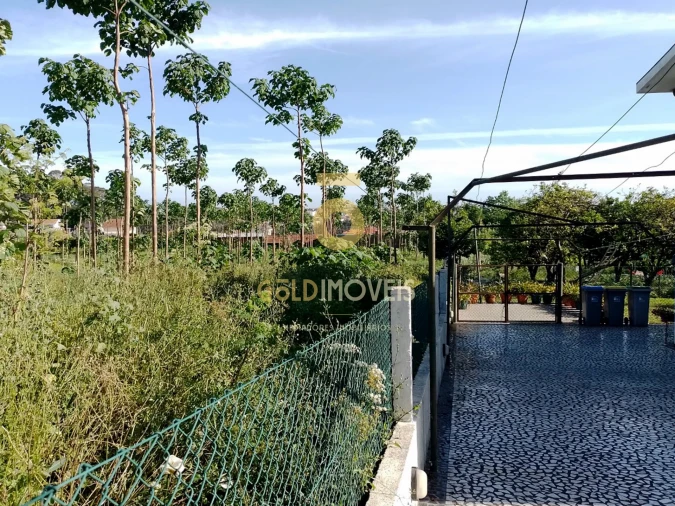 Terreno para Venda em Argoncilhe Foto 4