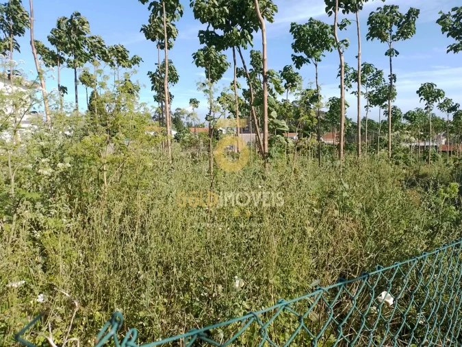 Terreno para Venda em Argoncilhe Foto 3