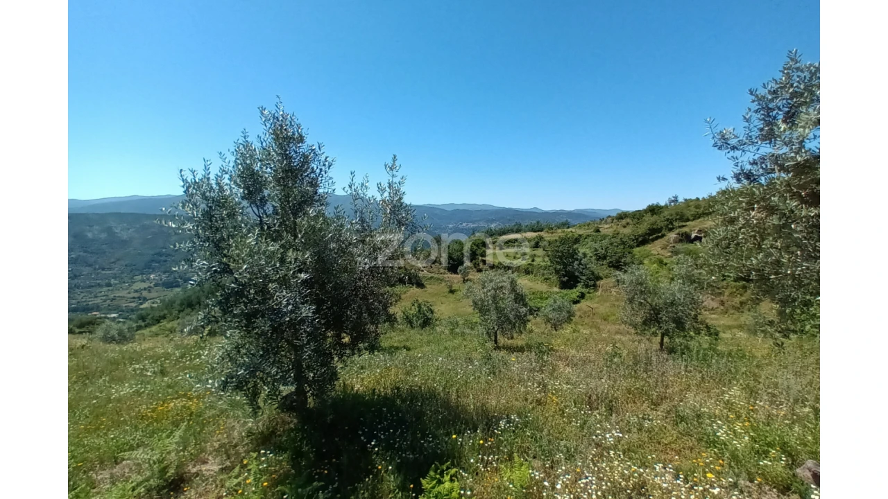 Terreno para Venda em Oliveira do Hospital e São Paio de Gramaços Foto 4