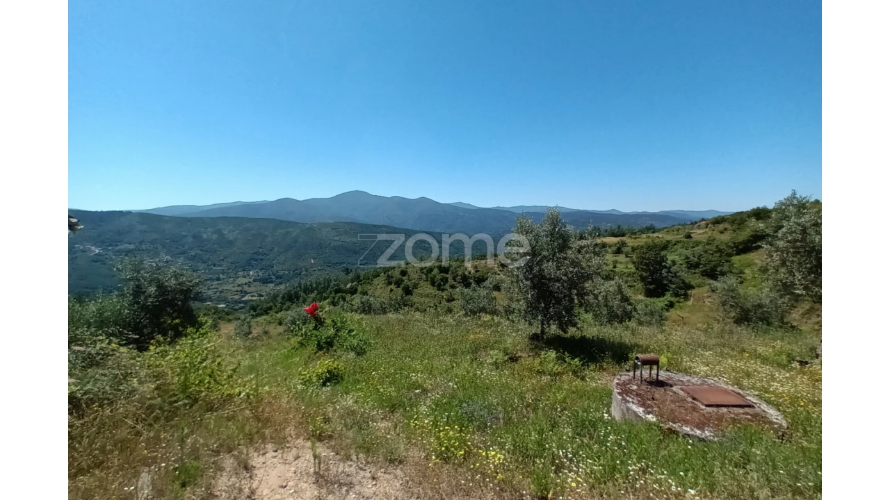 Terreno para Venda em Oliveira do Hospital e São Paio de Gramaços Foto 6