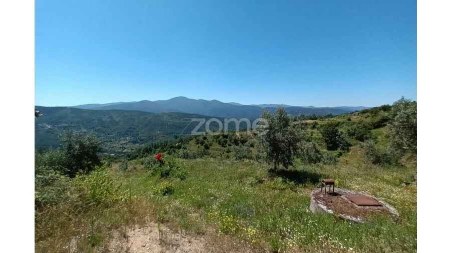 Terreno para Venda em Oliveira do Hospital e São Paio de Gramaços Foto 6