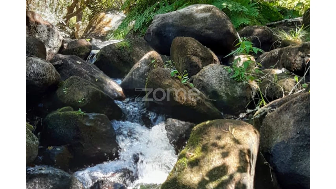 Terreno para Venda em Oliveira do Hospital e São Paio de Gramaços Foto 2
