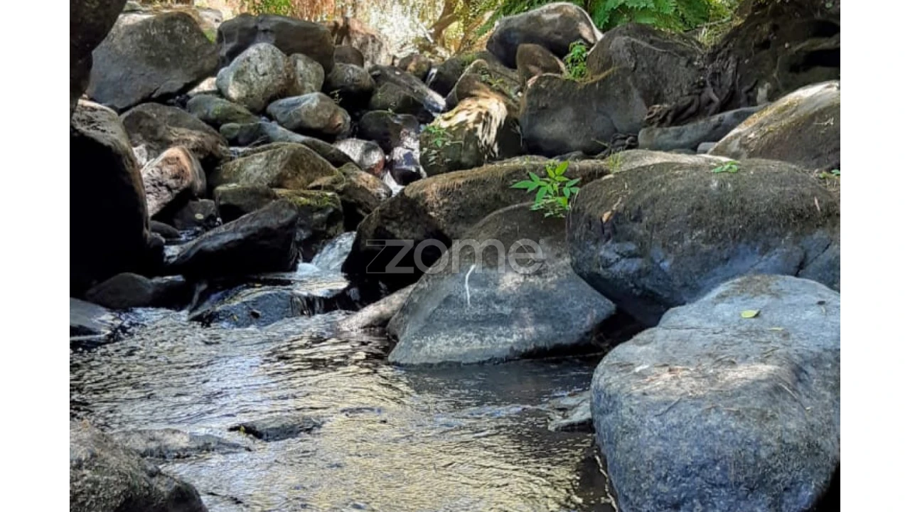 Terreno para Venda em Oliveira do Hospital e São Paio de Gramaços Foto 3