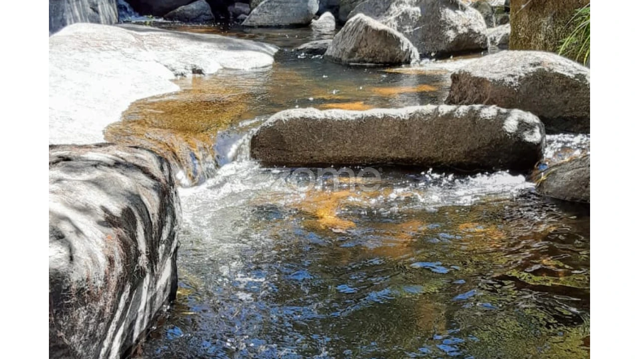 Terreno para Venda em Oliveira do Hospital e São Paio de Gramaços Foto 4
