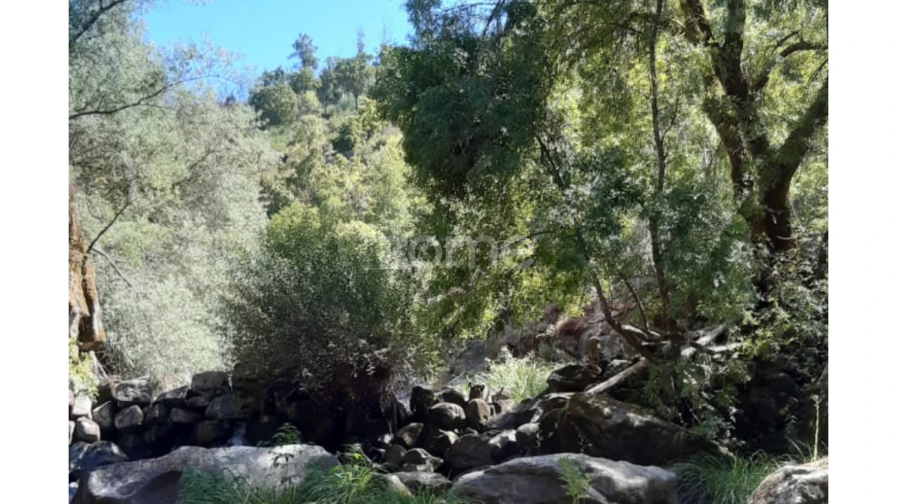 Terreno para Venda em Oliveira do Hospital e São Paio de Gramaços Foto 6