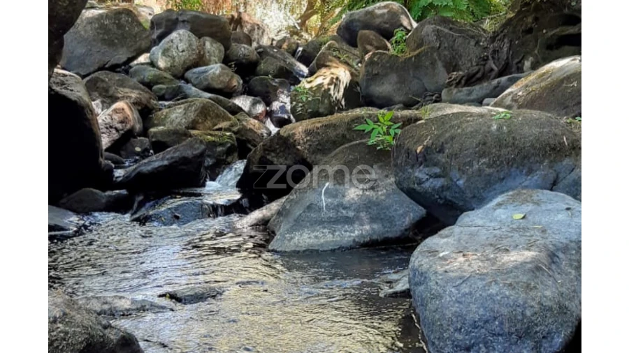 Terreno para Venda em Oliveira do Hospital e São Paio de Gramaços Foto 2