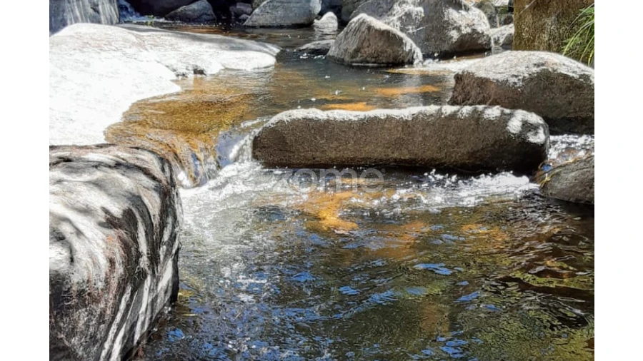 Terreno para Venda em Oliveira do Hospital e São Paio de Gramaços Foto 3