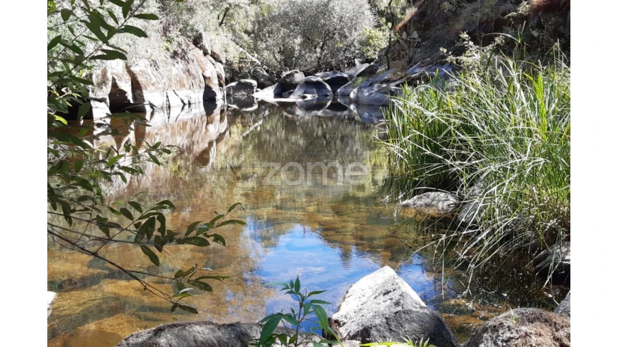 Terreno para Venda em Oliveira do Hospital e São Paio de Gramaços Foto 5