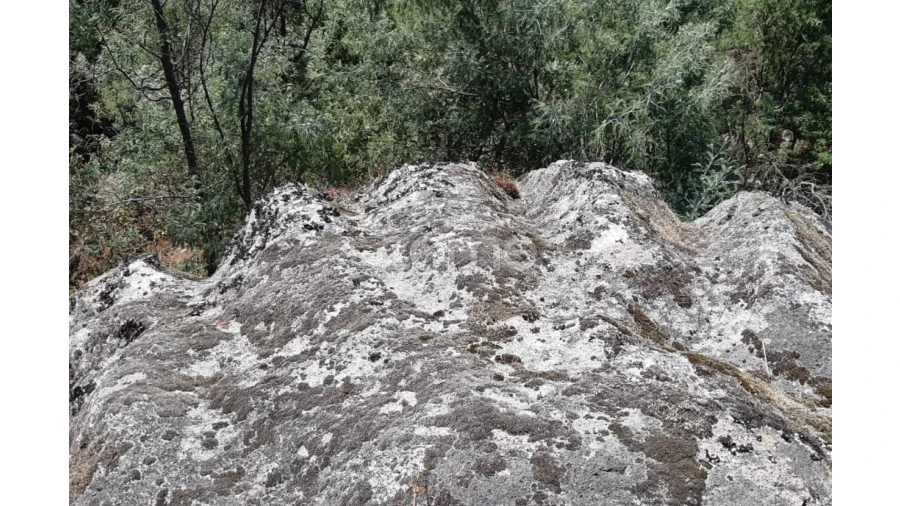 Terreno para Venda em Oliveira do Hospital e São Paio de Gramaços Foto 7