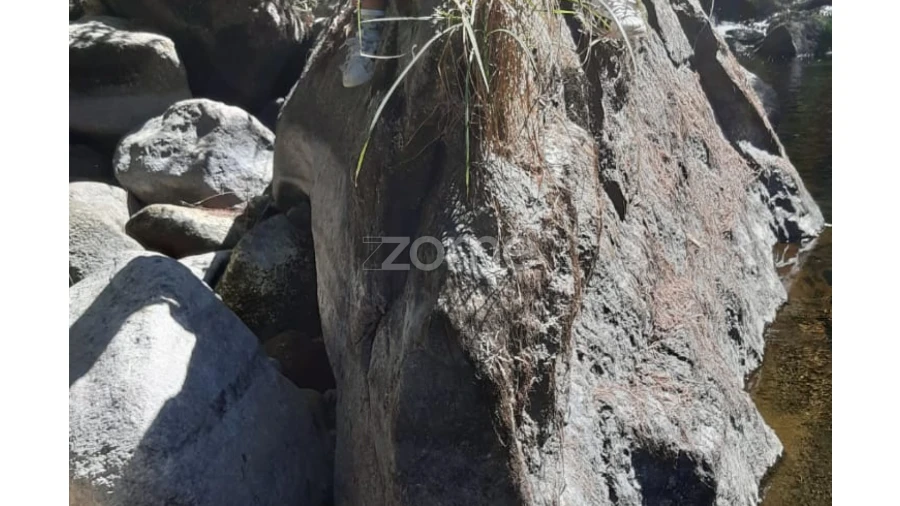 Terreno para Venda em Oliveira do Hospital e São Paio de Gramaços Foto 9