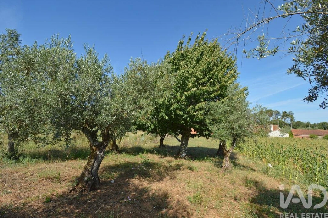 Moradia T2 para Venda em Alvorge Foto 21