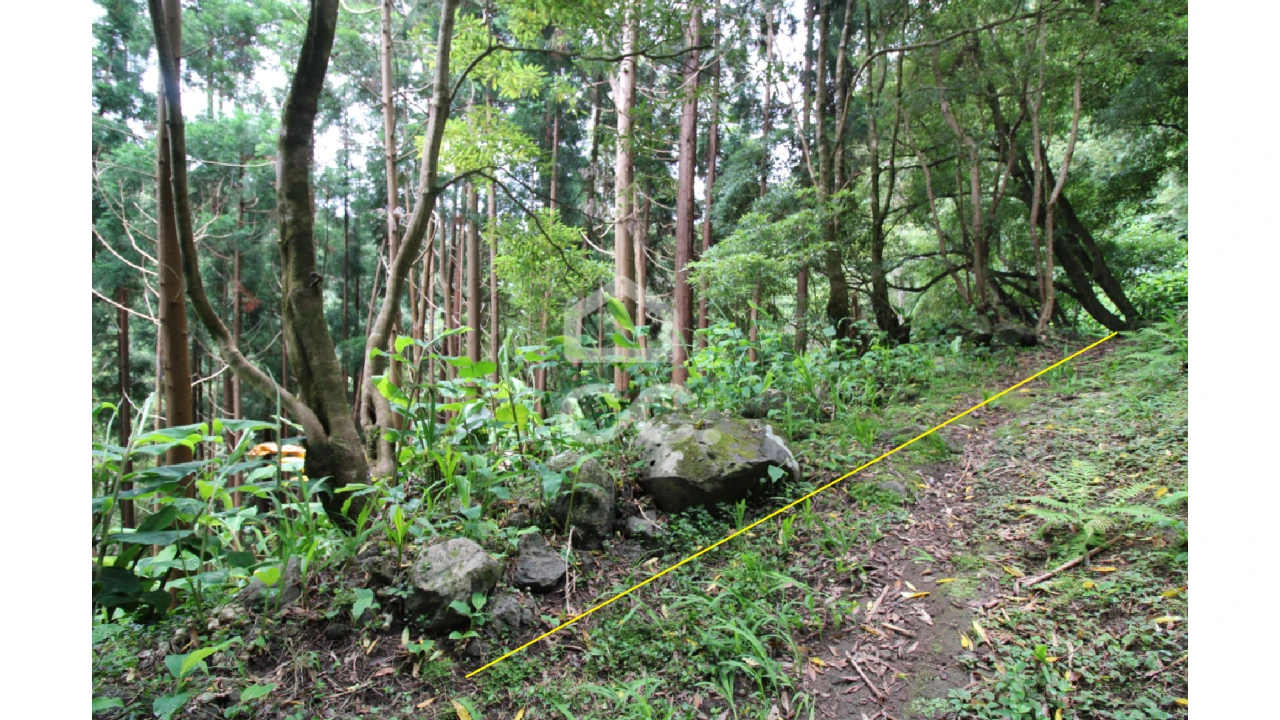 Terreno para Venda em Lomba da Fazenda Foto 4