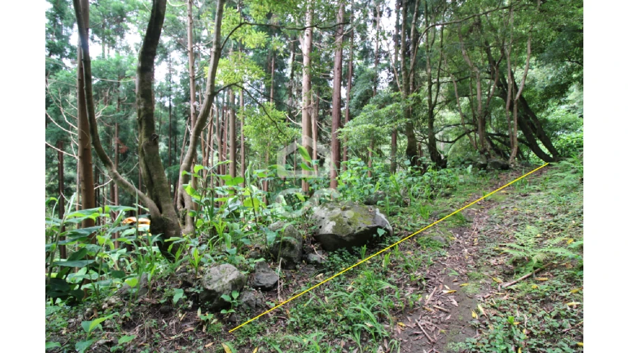 Terreno para Venda em Lomba da Fazenda Foto 4