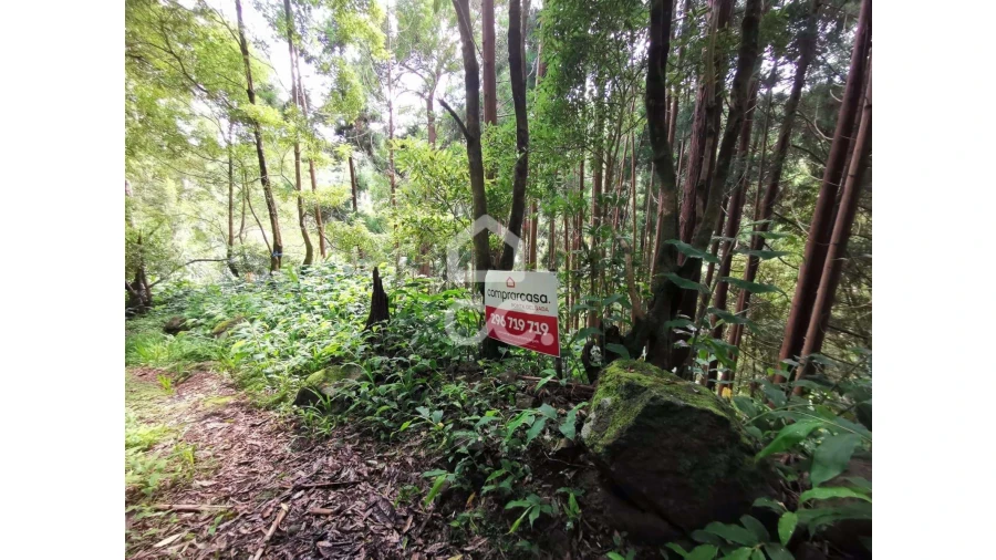 Terreno para Venda em Lomba da Fazenda Foto 3