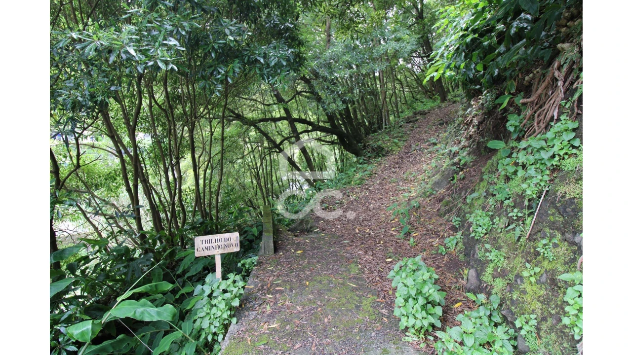 Terreno para Venda em Lomba da Fazenda Foto 2