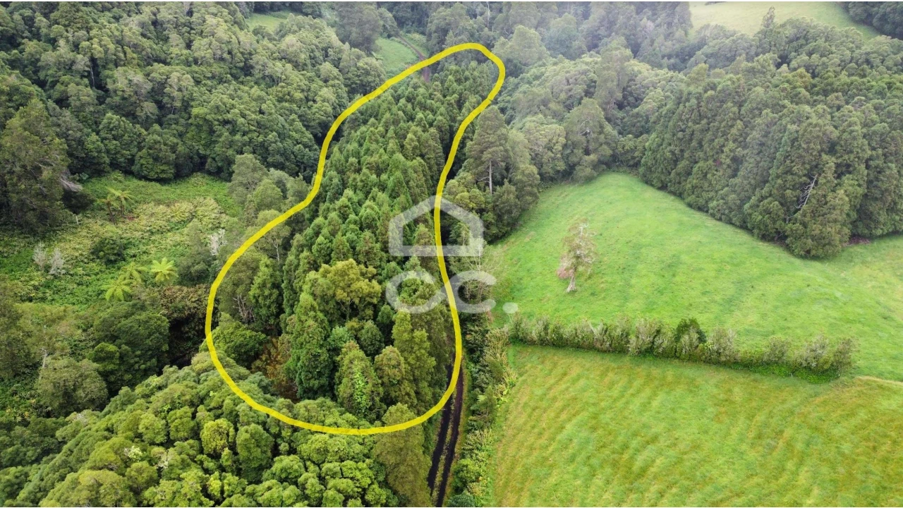 Terreno para Venda em Santo Antonio de Nordestinho Foto 3