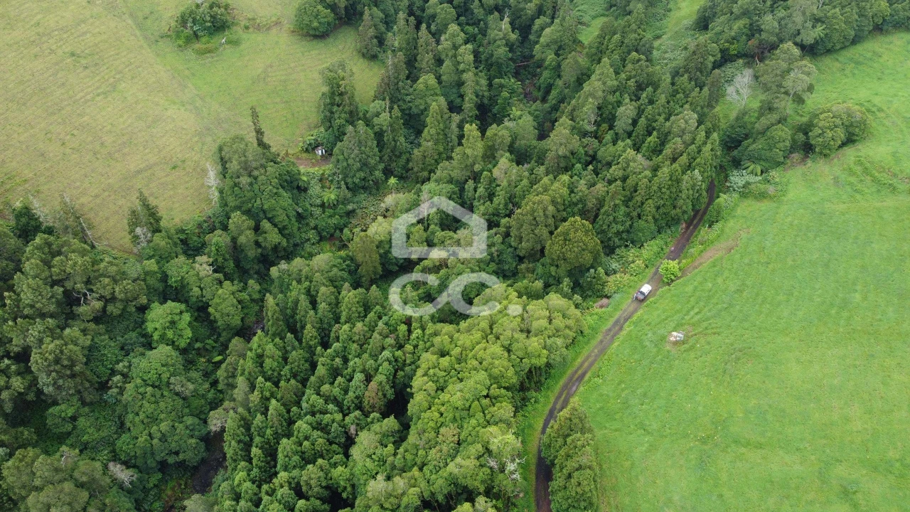 Terreno para Venda em Santo Antonio de Nordestinho Foto 4
