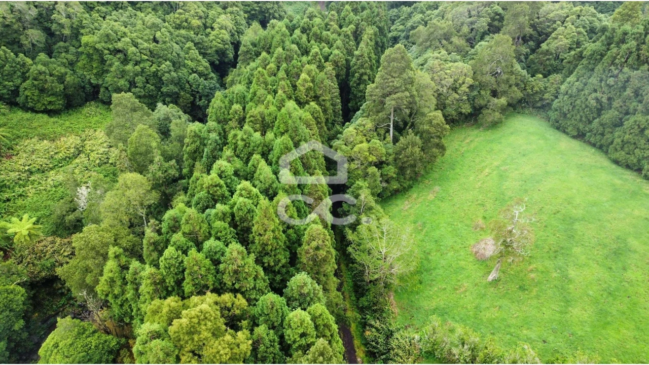 Terreno para Venda em Santo Antonio de Nordestinho Foto 7