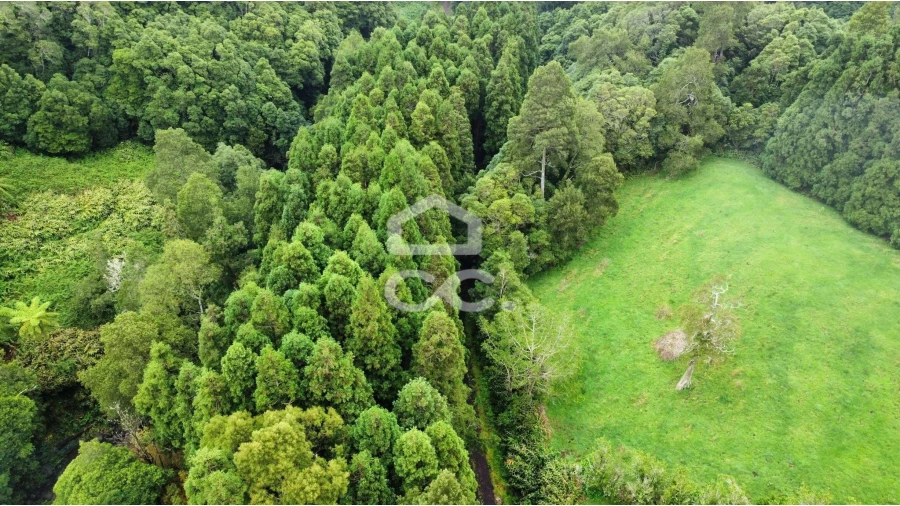 Terreno para Venda em Santo Antonio de Nordestinho Foto 7