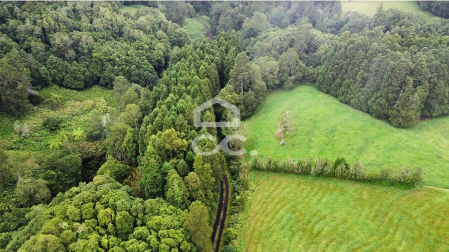 Terreno para Venda em Santo Antonio de Nordestinho Foto 8