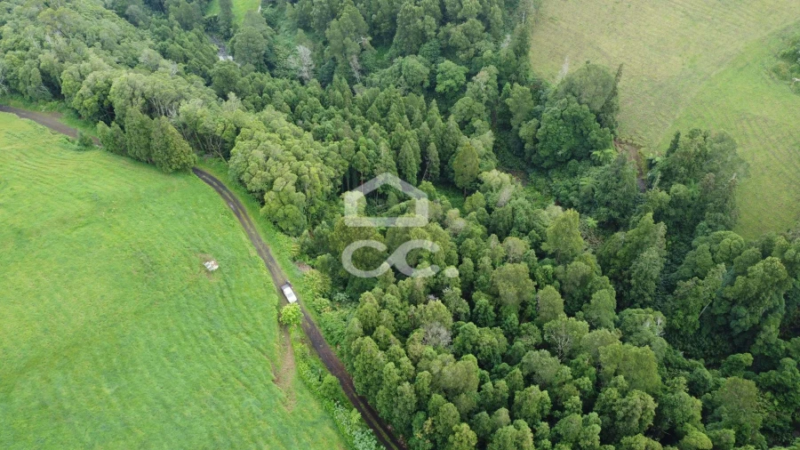 Terreno para Venda em Santo Antonio de Nordestinho Foto 5
