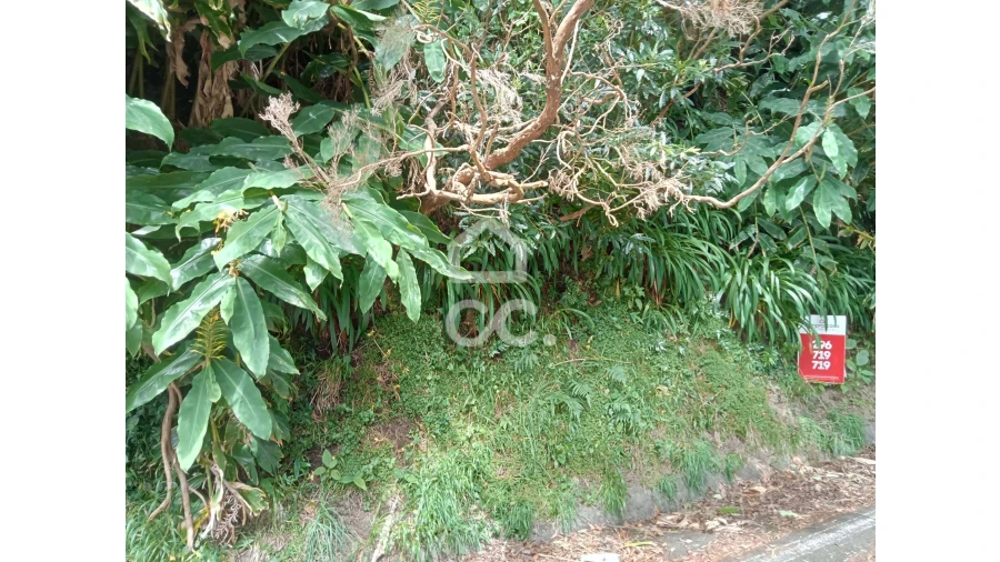 Terreno para Venda em Santo Antonio de Nordestinho Foto 1