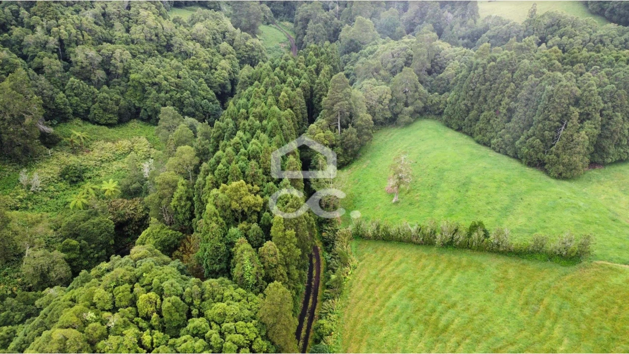 Terreno para Venda em Santo Antonio de Nordestinho Foto 8