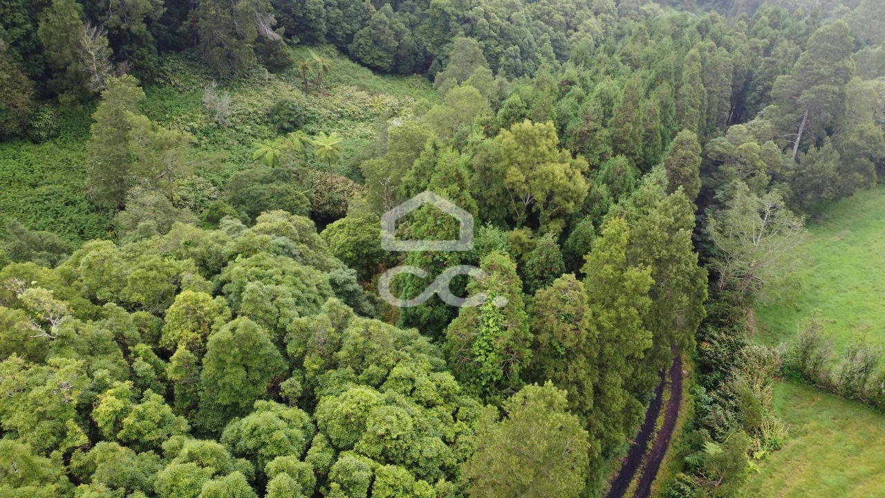 Terreno para Venda em Santo Antonio de Nordestinho Foto 6
