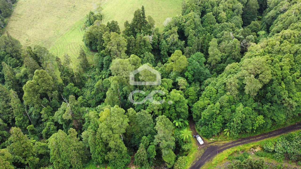 Terreno para Venda em Santo Antonio de Nordestinho Foto 6