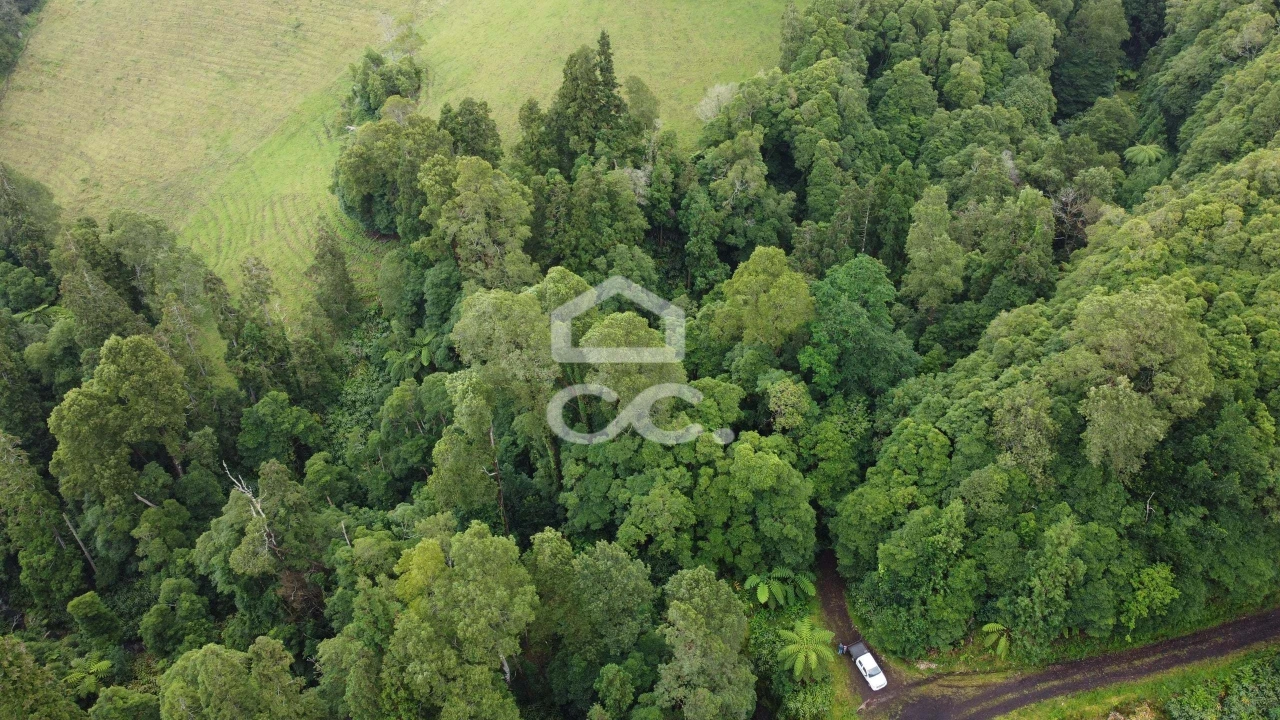 Terreno para Venda em Santo Antonio de Nordestinho Foto 4